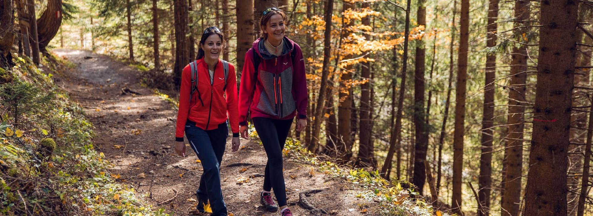 Zwei Frauen wandern einen Waldweg entlang.