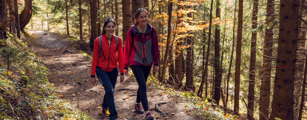 Zwei Frauen wandern einen Waldweg entlang.