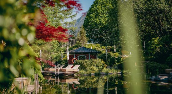 Ein großer Garten mit Schwimmteich.