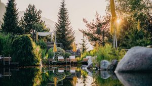 Schwimmteich im Garten im warmen Licht des Sonnenuntergangs.