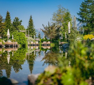 Der Schwimmteich im Sommer.