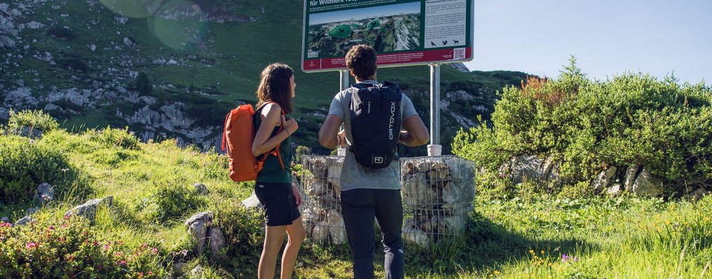 Ein Mann und eine Frau stehen vor einem Lehrpfad im Rofangebirge.
