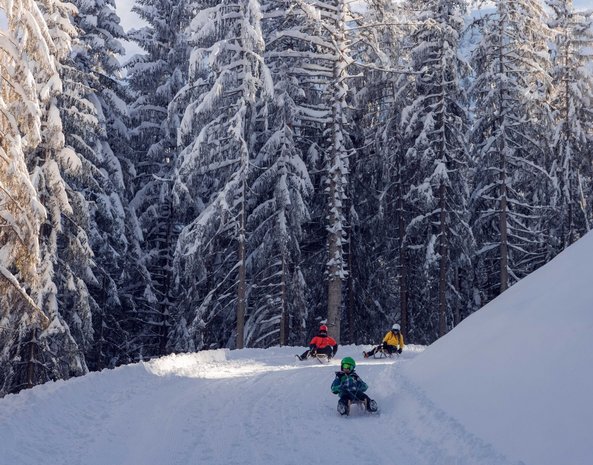 Zwei Erwachsene und ein Kind fahren mit Rodeln eine verschneite Piste hinunter.